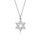 Davida Star of David Necklace - Silver - Sterling Silver and inlay plating